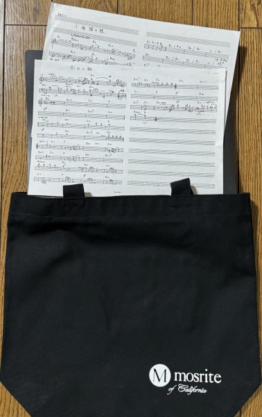 画像2: Mosriteオリジナル　バンドファイルトートバッグ (2)