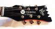 画像2: Mosrite '65 Black Custom - T  (Back Sunbast ver.) (2)