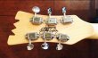 画像3: Mosrite '65 Standard Model  (3)
