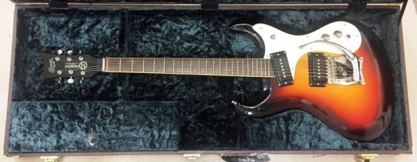 画像3: 【アウトレット】Mosrite 純正　クロコダイル調　ギターハードケース  type 3 (3)