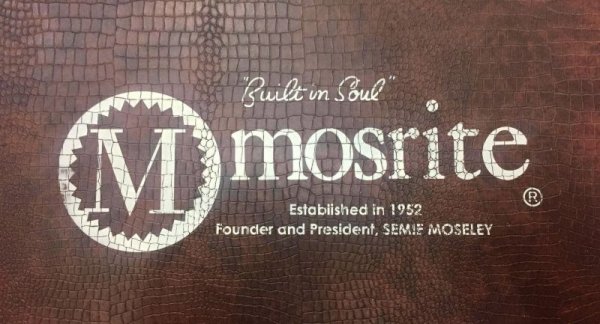 画像2: 【アウトレット】Mosrite 純正　クロコダイル調　ギターハードケース  type 3 (2)